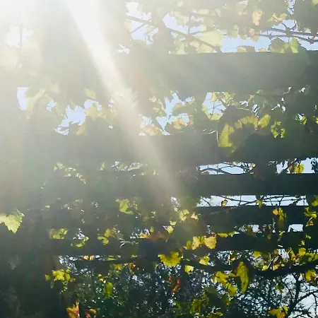 בית נופש La Blatiere French