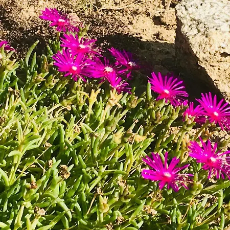 בית נופש La Blatiere French *