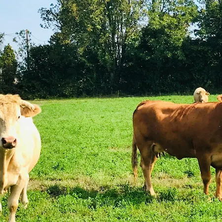 בית נופש La Blatiere French La Chapelle-Saint-Etienne