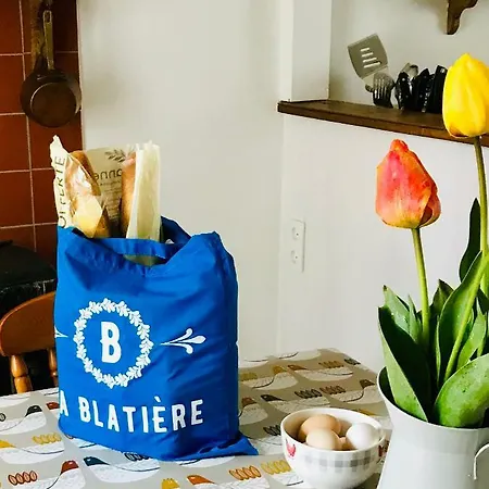 La Blatiere French בית נופש La Chapelle-Saint-Etienne